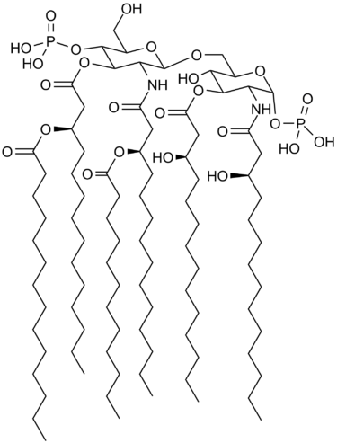 File:Lipid A.png