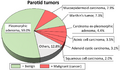 Chart showing relative incidence of parotid tumors