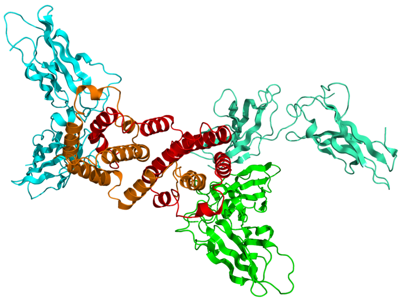 File:1FG9 IFNG IFNG.png