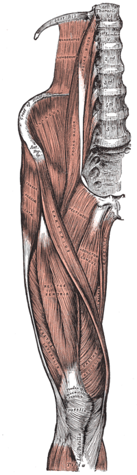 File:Gray430.png