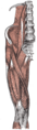 Thumbnail for version as of 03:47, 18 May 2026