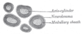 Thumbnail for version as of 17:28, 18 May 2026