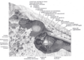 Aditus to mastoid antrum, shown in a diagram of the ear.