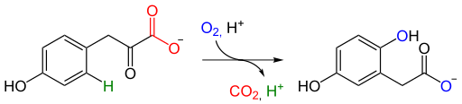 File:HPPD reaction.svg