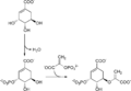 Thumbnail for version as of 03:19, 5 June 2026