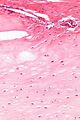 Thumbnail for version as of 01:23, 2 June 2026