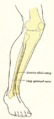 Thumbnail for version as of 17:28, 18 May 2026