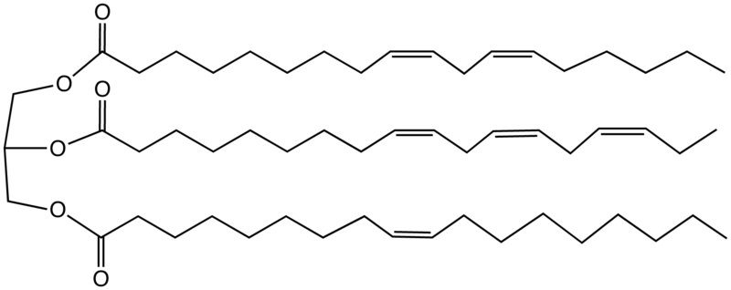 File:ModelDryingOil.png