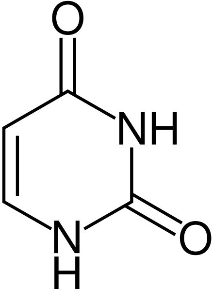 File:Uracil.svg