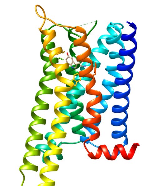 File:7E2Y 5-HT1A receptor serotonin.png