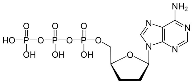 File:Dideoxyadenosine triphosphate.svg