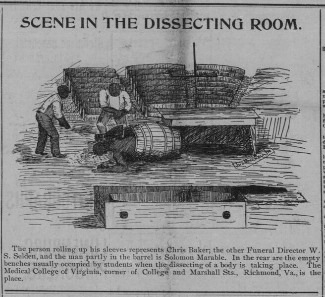 File:Solomon Marable dissection.jpg