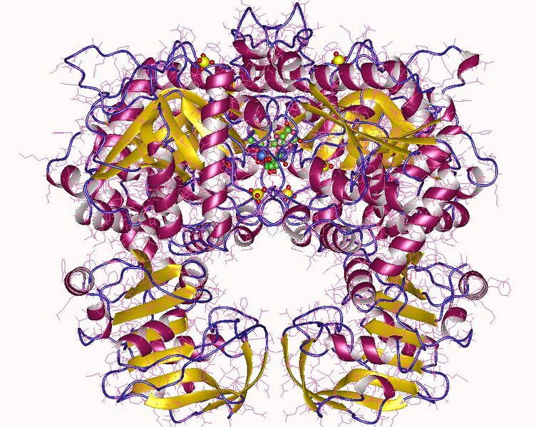 File:2vxo.jpg