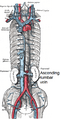 Thumbnail for version as of 13:41, 23 May 2026