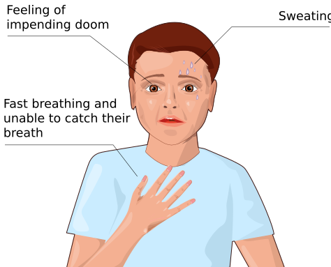 File:Panic disorder svg hariadhi.svg