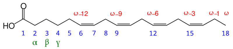 File:Fatty acid carbon numbering.svg