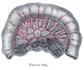 Thumbnail for version as of 17:28, 18 May 2026