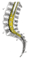 Thumbnail for version as of 17:28, 18 May 2026