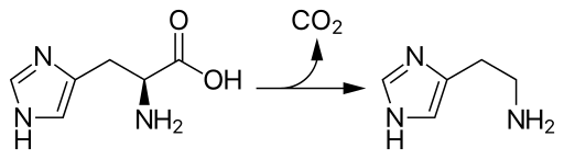 File:Histidine decarboxylase.svg