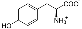 File:L-Tyrosin phys.svg