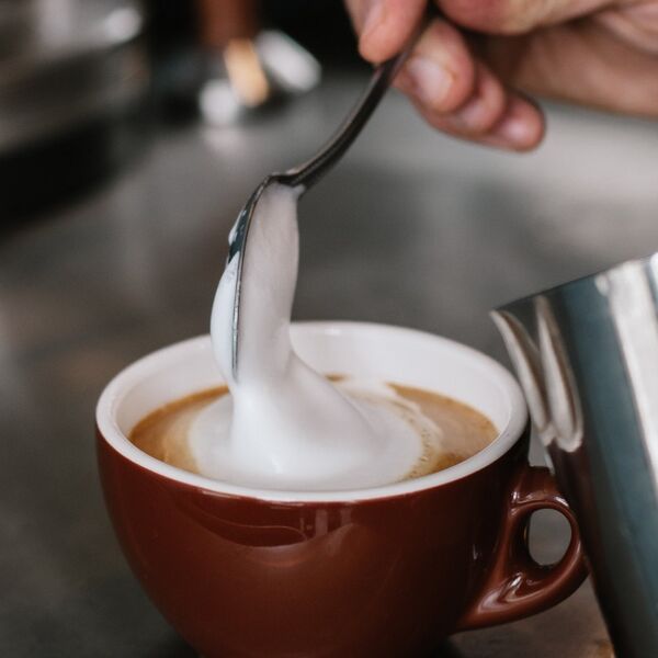 File:Cappuccino milk froth.jpg
