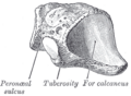 Thumbnail for version as of 17:28, 18 May 2026