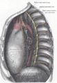 Thumbnail for version as of 17:28, 18 May 2026