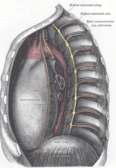 File:Gray969.png