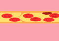 Thumbnail for version as of 03:19, 5 June 2026