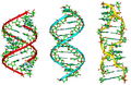 Thumbnail for version as of 02:07, 7 June 2026