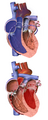 Thumbnail for version as of 03:30, 5 June 2026