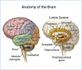 Thumbnail for version as of 02:13, 7 June 2026