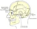Thumbnail for version as of 17:28, 18 May 2026