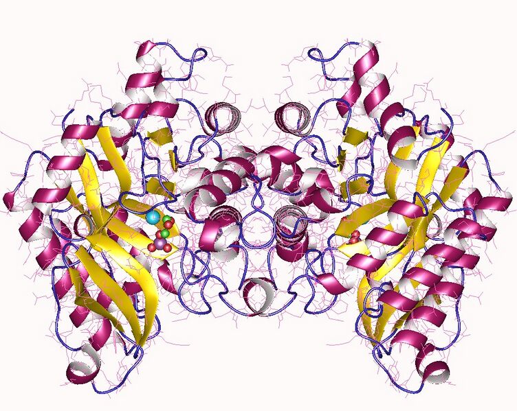File:2wm1.jpg
