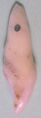 Thumbnail for version as of 13:41, 8 June 2026