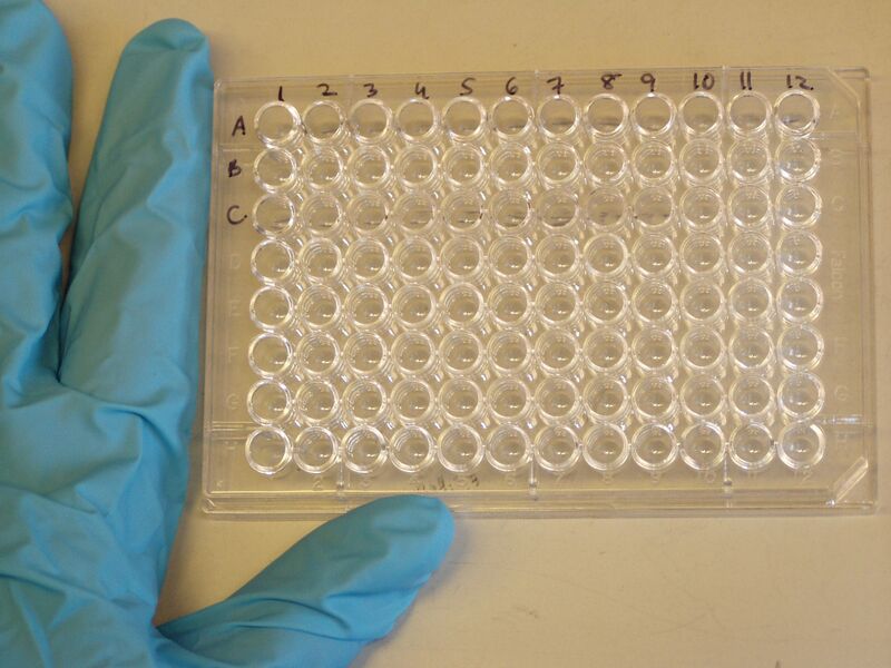 File:Microtiter plate.JPG