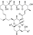 Thumbnail for version as of 17:41, 22 May 2026