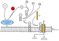 Thumbnail for version as of 15:54, 29 May 2026