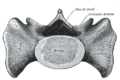 Thumbnail for version as of 17:28, 18 May 2026