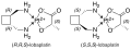 Thumbnail for version as of 15:35, 22 May 2026