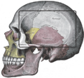 Thumbnail for version as of 13:38, 8 June 2026