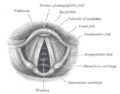 Thumbnail for version as of 17:27, 18 May 2026