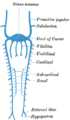 Thumbnail for version as of 17:28, 18 May 2026
