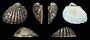 Thumbnail for version as of 22:29, 8 June 2026