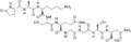 Thumbnail for version as of 19:03, 22 May 2026