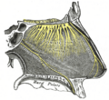 Thumbnail for version as of 17:28, 18 May 2026