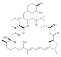Chemical structure of Prerapamycin