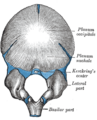 Thumbnail for version as of 17:28, 18 May 2026