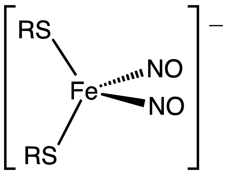 File:DNIC structure.svg