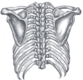 Thumbnail for version as of 17:28, 18 May 2026